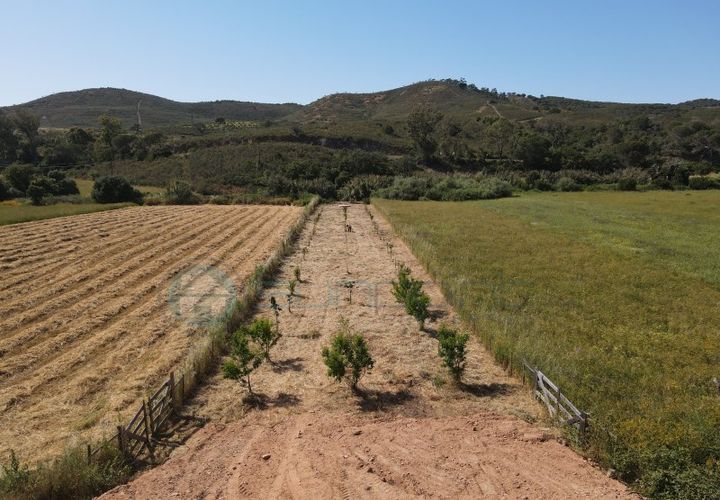 Helårsgrund i Bordeira, Faro, Bordeira - € 21.500 | Ref: T1695 - foto 1