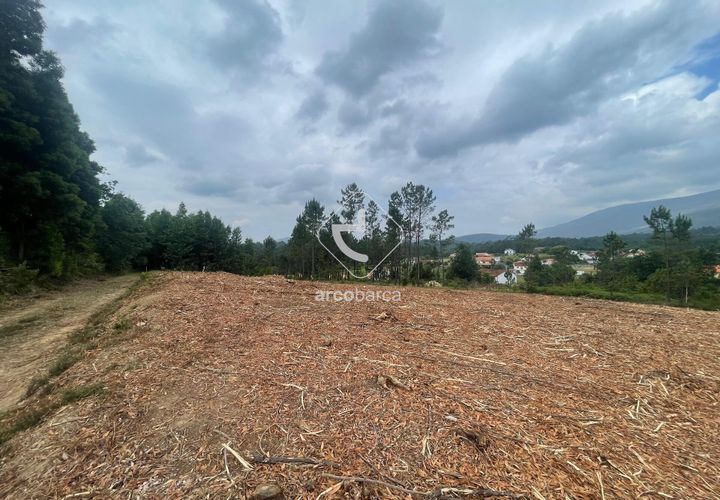 Terra a Ponte de Lima, Viana do Castelo, Ponte de Lima - € 65.000 | Ref: AV6356 - foto 1