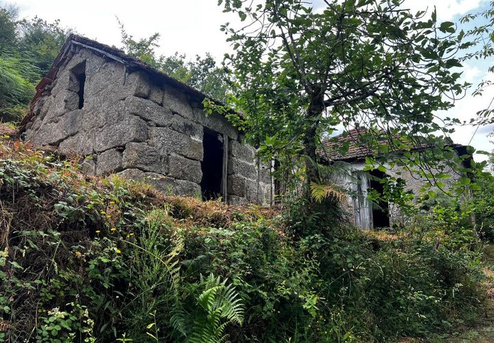 Farm i Amarante, Porto, Amarante - € 90.000 | Ref: 763 - foto 1