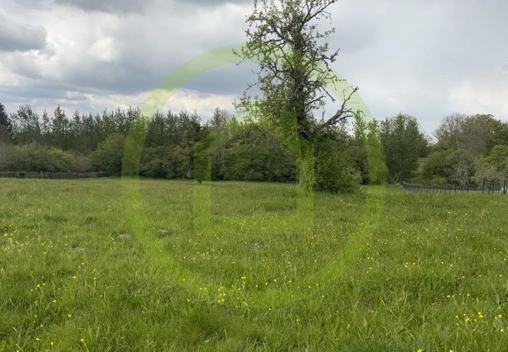 Terra a Pionnat, Creuse, Pionnat - € 20.000 | Ref: 3011436459 - foto 1