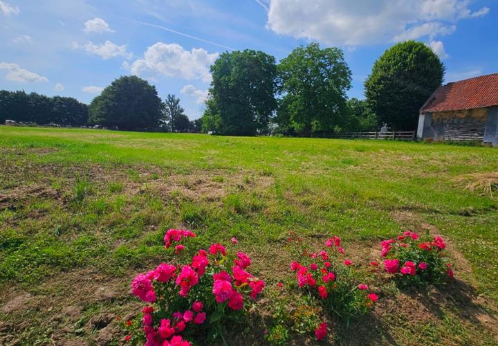 Terra a Avesnes-le-Comte, Pas-de-Calais, Avesnes-le-Comte - € 65.000 | Ref: ACFIJ1601231 - foto 1