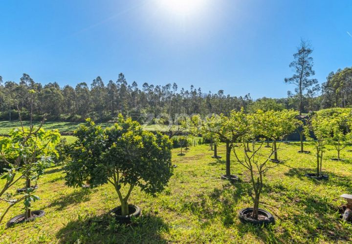 Haus in Vila do Conde, Porto, Vila do Conde - € 1.200.000 | Ref: ZMPT577478 - Foto 1