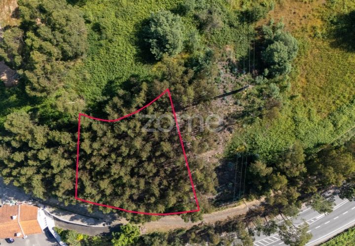 Helårsgrund i Paredes, Porto, Paredes - € 99.900 | Ref: ZMPT577946 - foto 1