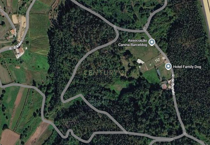 Terra em Barcelos, Braga, Barcelos - € 13.000 | Ref: C0257-01207 - foto 1