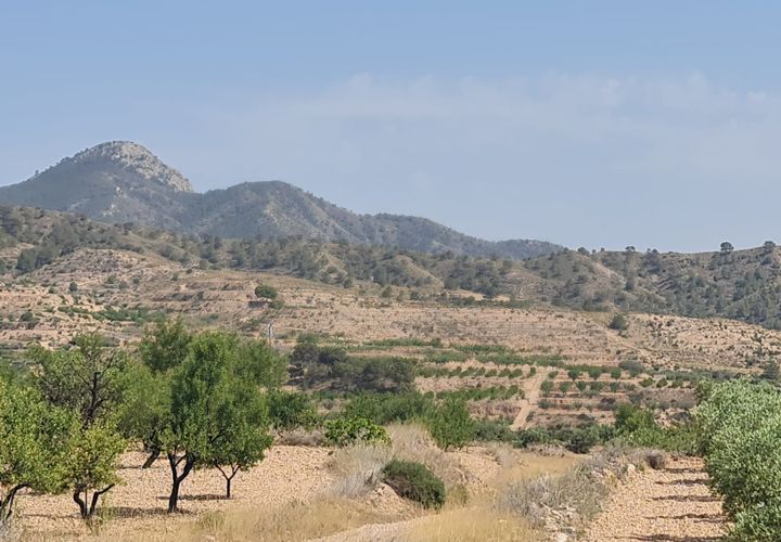 Tomt i Abanilla, Murcia, Abanilla - € 47 995 | Ref: 61110 - foto 1