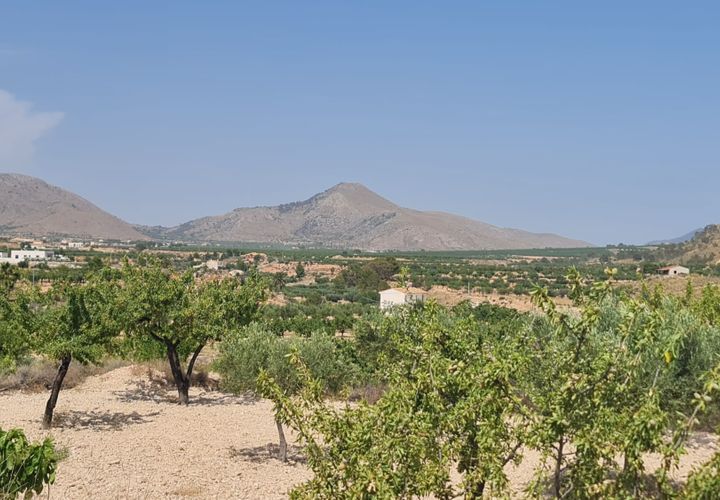 Tomt i Abanilla, Murcia, Abanilla - € 41 995 | Ref: 61112 - foto 1