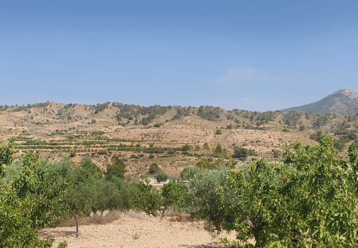 Helårsgrund i Abanilla, Murcia, Abanilla - € 41.995 | Ref: 61111 - foto 1