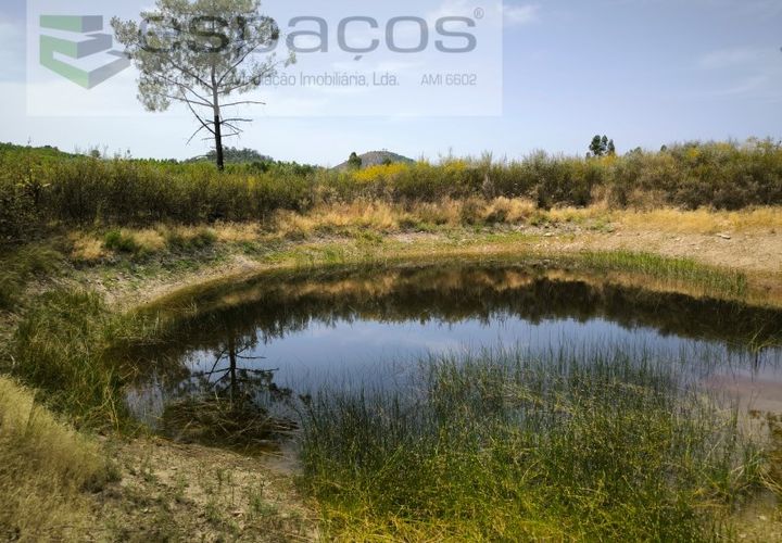 Helårsgrund i Castelo Branco, Castelo Branco, Castelo Branco - € 26.000 | Ref: 5716/EG - foto 1