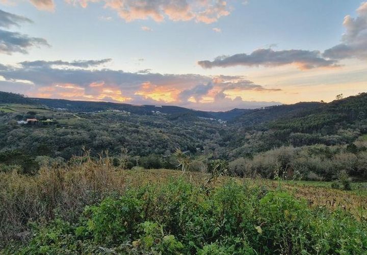 Terra a Mafra, Lisbon, Mafra - € 86.000 | Ref: 89851 - foto 1