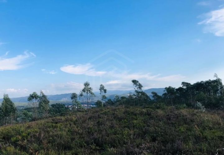 Terra a Melres e Medas, Porto, Melres e Medas - € 137.500 | Ref: TER_53334 - foto 1