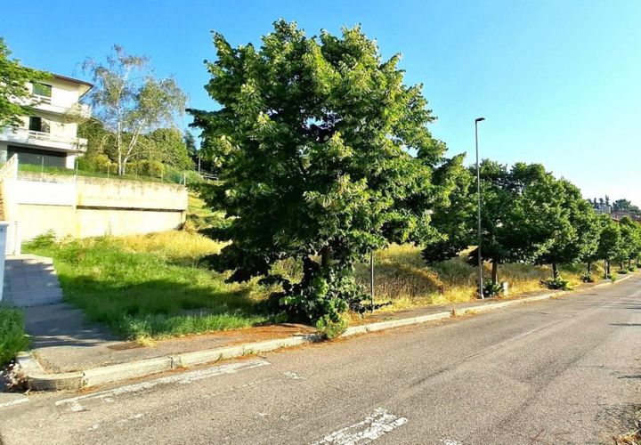 Terra a Bertinoro, Forli-Cesena, Bertinoro - € 90.000 | Ref: 2536537 - foto 1