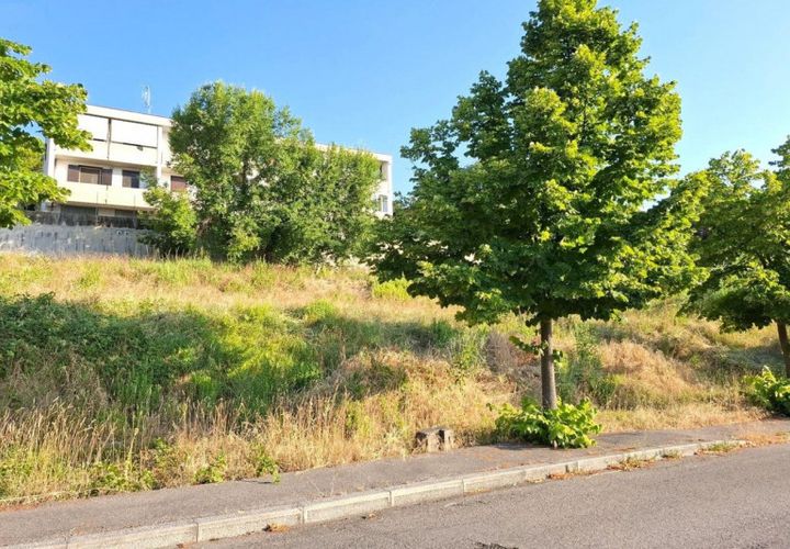 Terra a Bertinoro, Forli-Cesena, Bertinoro - € 60.000 | Ref: 2536344 - foto 1