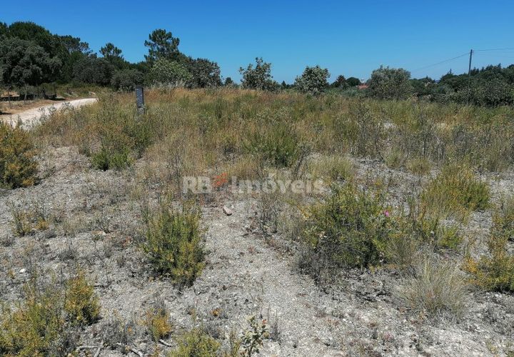 Helårsgrund i Tomar, Santarem, Tomar - € 70.000 | Ref: 01584-25 - foto 1