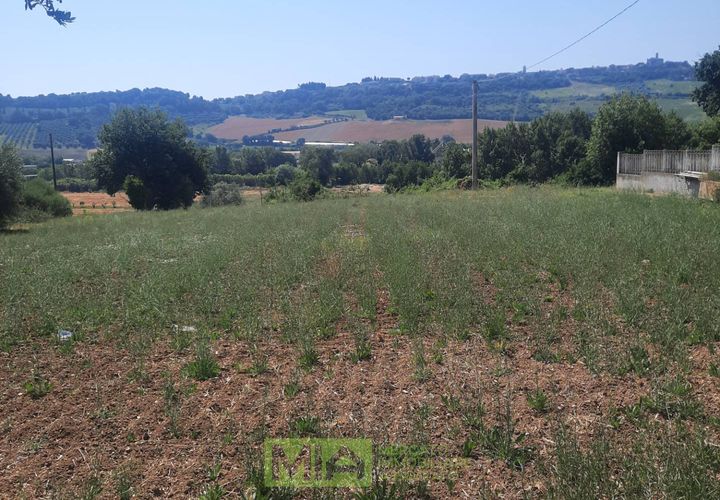 Terra a Altidona, Fermo, Altidona - € 95.000 | Ref: 114907 - foto 1