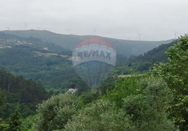 Terra a Alvite e Passos, Braga, Alvite e Passos - € 80.000 | Ref: 121751324-174 - foto 1
