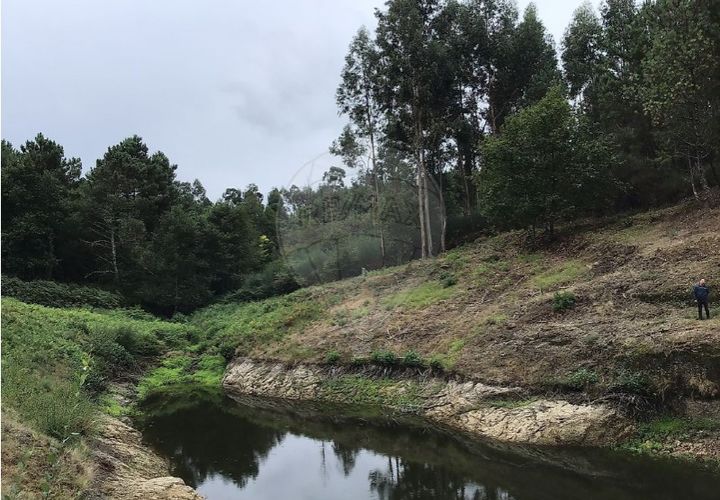 Terreno en Celorico de Basto, Braga, Celorico de Basto - € 39.000 | Ref: 121751324-199 - photo 1