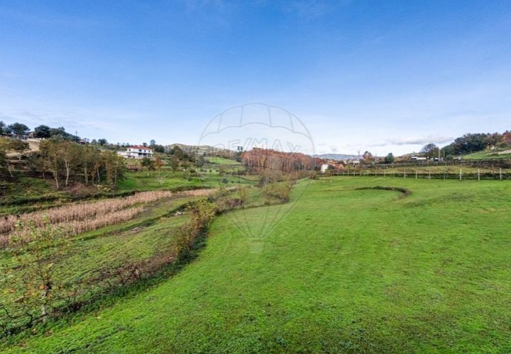 Farm i Cavez, Braga, Cavez - € 399.900 | Ref: 123331090-15 - foto 1