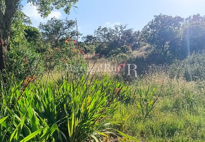 Helårsgrund i Bordeira, Faro, Bordeira - € 35.000 | Ref: PM326 - foto 1
