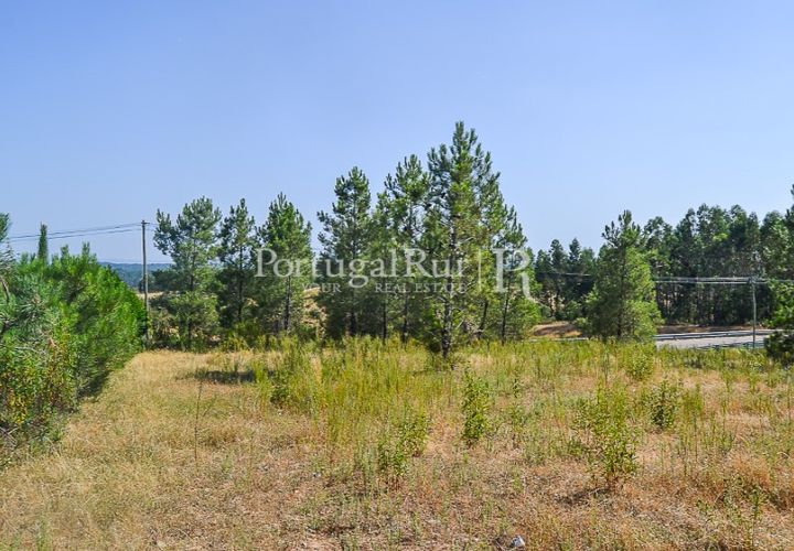 Helårsgrund i Proenca-a-Nova, Castelo Branco, Proenca-a-Nova - € 22.500 | Ref: SA1022 - foto 1