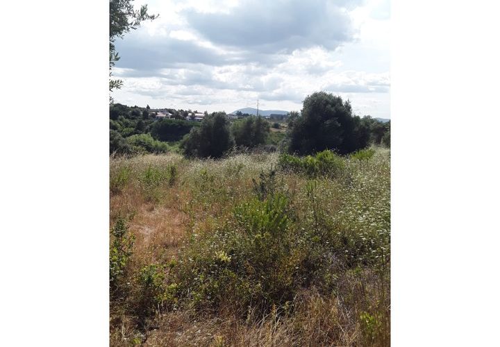Helårsgrund i Azambuja, Lisbon, Azambuja - € 18.800 | Ref: CA-126 - foto 1