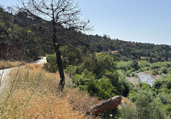 Helårsgrund i El Padron, Malaga, El Padron - € 375.000 | Ref: R5082952 - foto 1