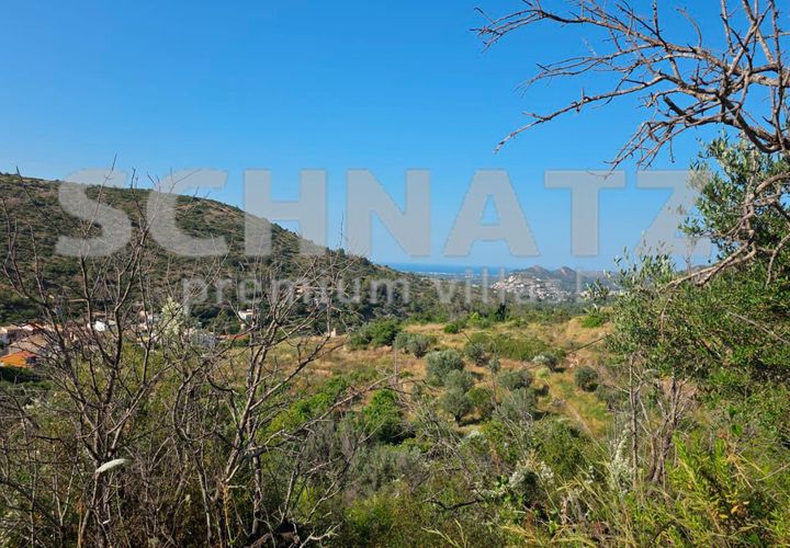 Terra a Alcalali, Alicante, Alcalali - € 110.000 | Ref: LL5301 - foto 1
