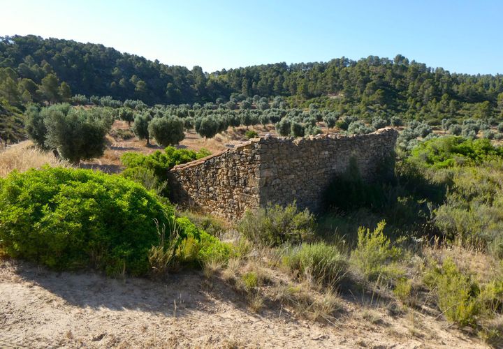 Finca i Mazaleon, Teruel, Mazaleon - € 16.000 | Ref: 1072 - foto 1