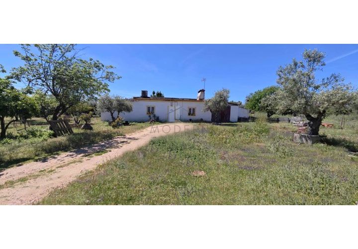 Farm i Alter do Chao, Portalegre, Alter do Chao - € 200.000 | Ref: FIN_4 - foto 1