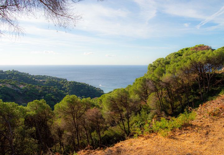Tomt i Lloret De Mar, Gerona, Lloret De Mar - € 99 000 | Ref: 2426 - foto 1