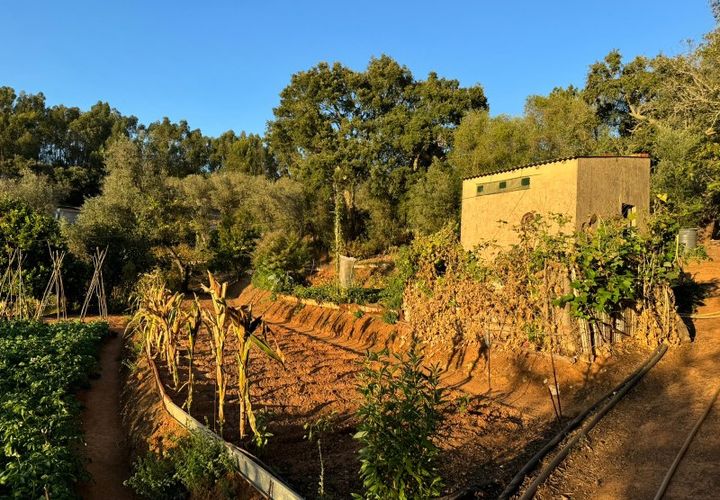 Terra a Marmelete, Faro, Marmelete - € 149.000 | Ref: SÒL_174 - foto 1