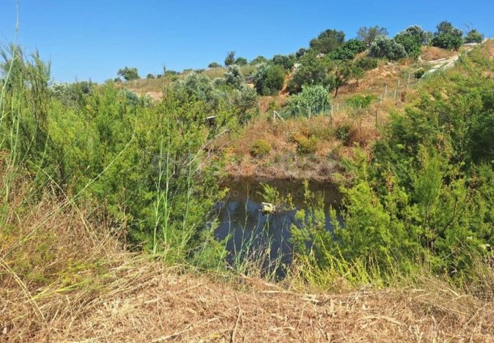 Helårsgrund i Estombar, Faro, Estombar - € 462.000 | Ref: AL97530LP - foto 1