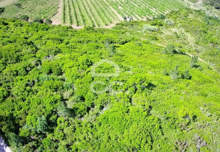 Helårsgrund i Obidos, Leiria, Obidos - € 32.000 | Ref: 321/T/01236 - foto 1