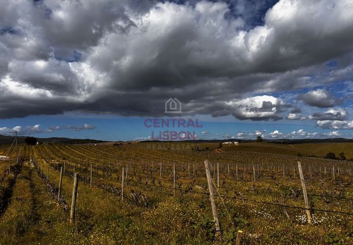 Helårsgrund i Alandroal, Evora, Alandroal - € 3.000.000 | Ref: SF0004 - foto 1