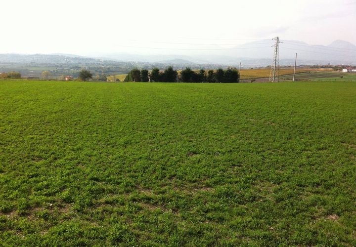 Helårsgrund i Benevento, Benevento, Benevento - € 39.000 | Ref: AA21876 - foto 1