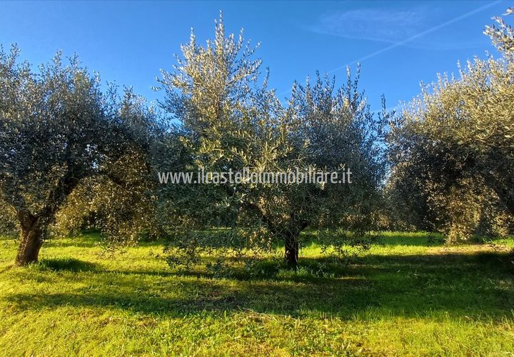 Helårsgrund i Chiusi, Siena, Chiusi - € 15.000 | Ref: TA29 - foto 1