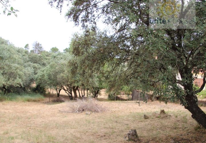 Helårsgrund i Tomar, Santarem, Tomar - € 16.000 | Ref: Tr120 - foto 1