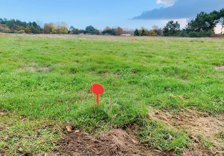 Terra a Bourg, Gironde, Bourg - € 59.700 | Ref: MZA-ATHBOUBEQ6 - foto 1