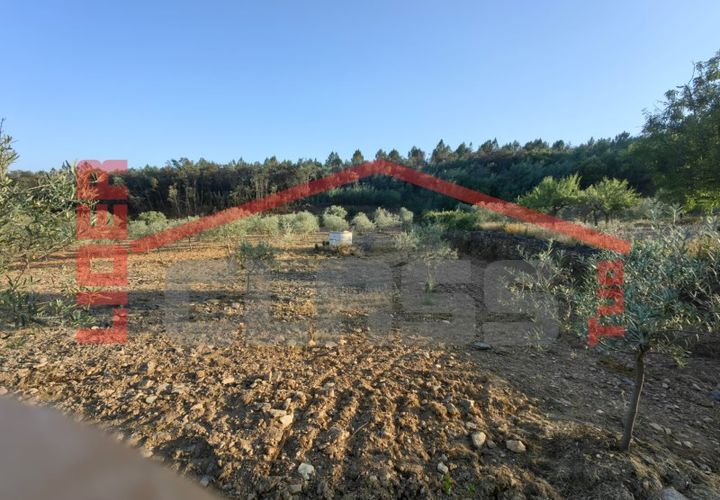 Tomt i Alvite e Passos, Braga, Alvite e Passos - € 70 000 | Ref: SÒL_1290 - foto 1