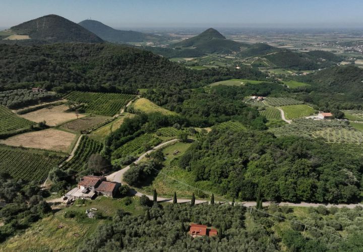 Helårsgrund i Cinto Euganeo, Padua, Cinto Euganeo - € 145.000 | Ref: TER 280 - foto 1