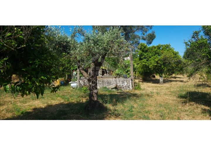 Terra a Alcains, Castelo Branco, Alcains - € 150.000 | Ref: TER_156 - foto 1