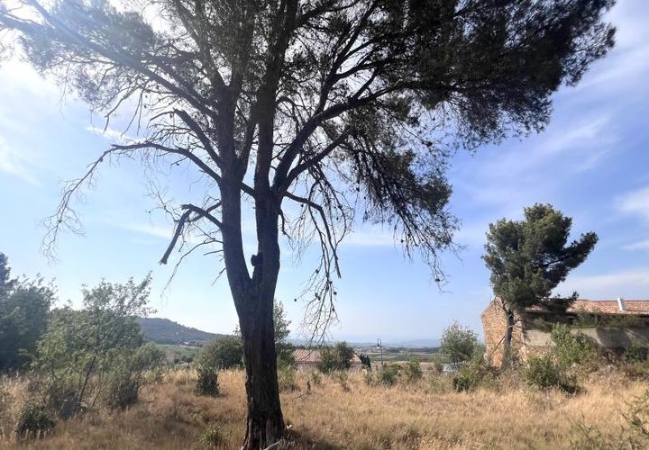 Tomt i Boutenac, Aude, Boutenac - € 190 000 | Ref: 84316 - foto 1