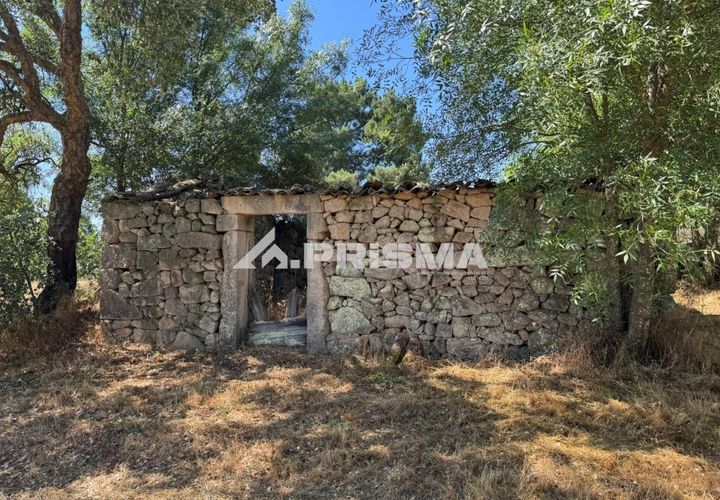 Helårsgrund i Castelo Branco, Castelo Branco, Castelo Branco - € 32.500 | Ref: PP4602 - foto 1
