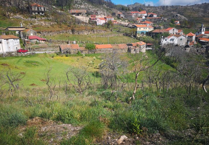 Helårsgrund i Caparrosa e Silvares, Viseu, Caparrosa e Silvares - € 25.000 | Ref: C0203-01402 - foto 1
