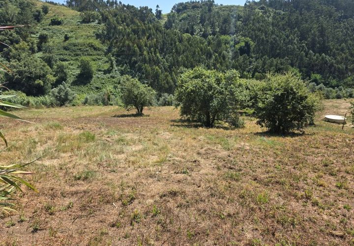 Helårsgrund i Torres Vedras, Lisbon, Torres Vedras - € 59.000 | Ref: TER_384 - foto 1