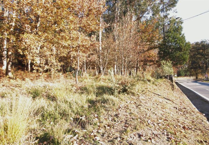 Helårsgrund i Barcelos, Braga, Barcelos - € 39.500 | Ref: 254210280 - foto 1