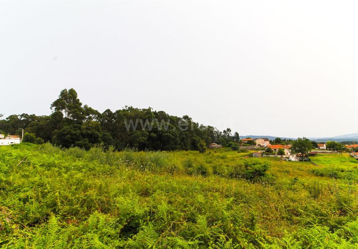 Helårsgrund i Barcelos, Braga, Barcelos - € 100.000 | Ref: 254240058 - foto 1