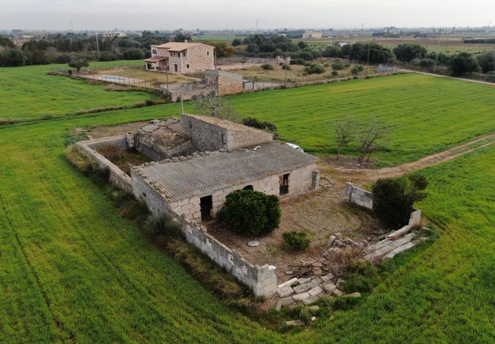 Terra a Sa Pobla, Mallorca, Sa Pobla - € 160.000 | Ref: 734830 - foto 1