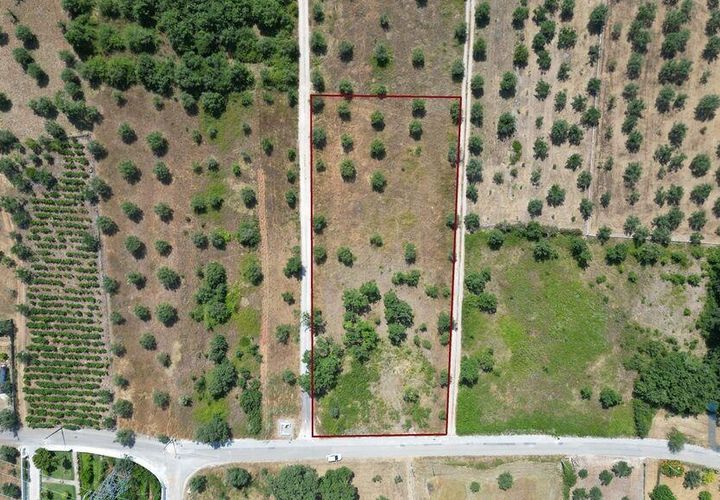 Terra a Ansiao, Leiria, Ansiao - € 53.000 | Ref: 145308 - foto 1