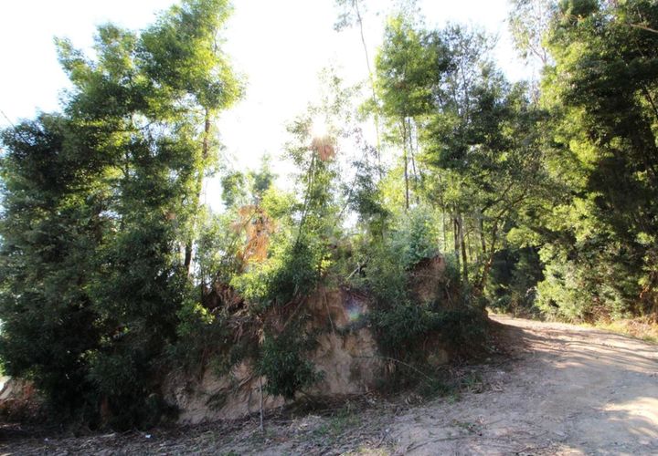 Helårsgrund i Barcelos, Braga, Barcelos - € 70.000 | Ref: 254180305 - foto 1