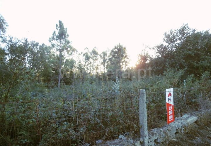 Helårsgrund i Barcelos, Braga, Barcelos - € 31.000 | Ref: 254160293 - foto 1